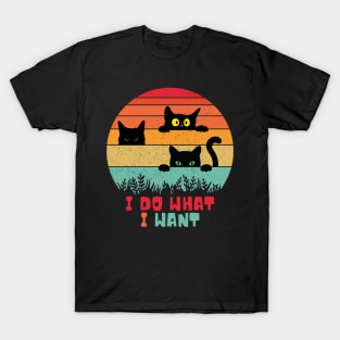 I Do What I Want T-Shirt